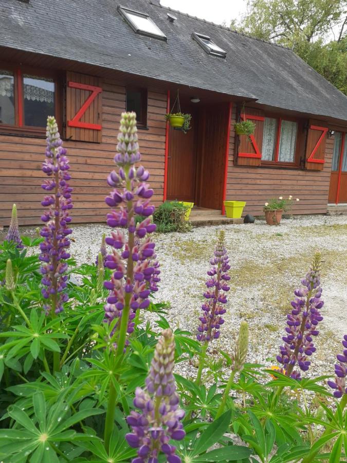 Bed and Breakfast Chez Christine Noyal-Pontivy Exteriér fotografie